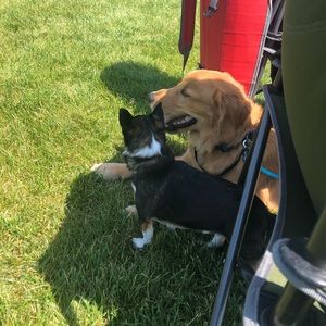 Meet your Posher, Brianna